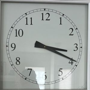 Meet your Posher, Annie